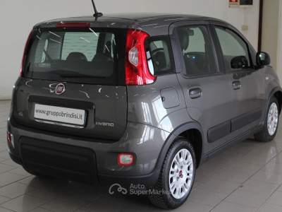 Fiat Panda 1.0 FireFly S&S Hybrid Grigio usata Potenza