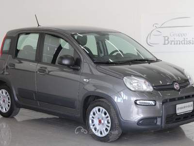 Fiat Panda 1.0 FireFly S&S Hybrid Grigio usata Potenza