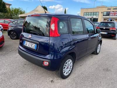 Fiat Panda 1.2 Easy Blu/Azzurro usata Sinalunga