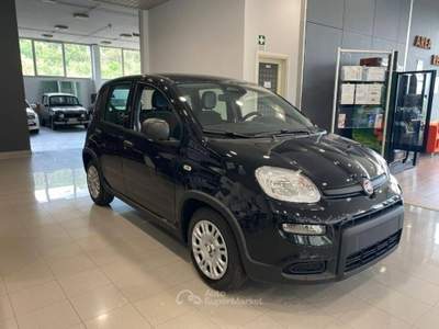 Fiat Panda 1.0 firefly hybrid s&s 70cv Nero usata Romano Canavese