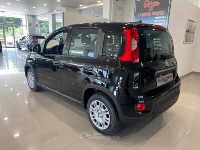 Fiat Panda 1.0 firefly hybrid s&s 70cv Nero usata Romano Canavese