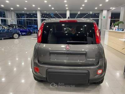 Fiat Panda 1.0 firefly hybrid s&s 70cv Grigio usata Romano Canavese