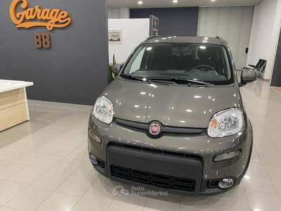 Fiat Panda 1.0 firefly hybrid s&s 70cv Grigio usata Romano Canavese