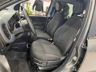 Fiat Panda 1.0 firefly hybrid s&s 70cv Grigio usata Romano Canavese