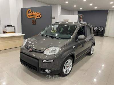 Fiat Panda 1.0 firefly hybrid s&s 70cv Grigio usata Romano Canavese