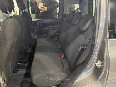 Fiat Panda 1.0 firefly hybrid s&s 70cv Grigio usata Romano Canavese