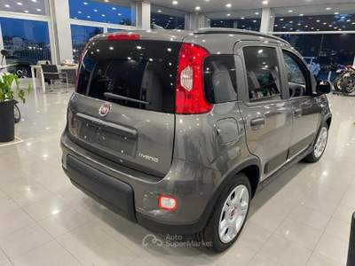 Fiat Panda 1.0 firefly hybrid s&s 70cv Grigio usata Romano Canavese