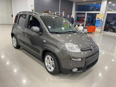 Fiat Panda 1.0 firefly hybrid s&s 70cv Grigio usata Romano Canavese