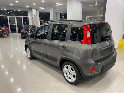 Fiat Panda 1.0 firefly hybrid s&s 70cv Grigio usata Romano Canavese