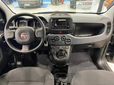 Fiat Panda 1.0 firefly hybrid s&s 70cv Grigio usata Romano Canavese