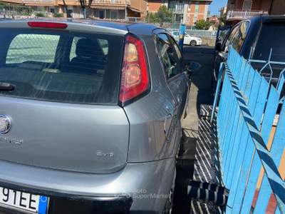 Fiat Punto Evo Punto evo 12 cc Argento usata Roma