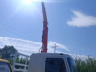 Renault Master RENAULT MAGNUM CASSONE FISSO CON GRU usata PIGNATARO INTERAMNA