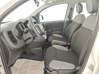 Fiat Panda 1.0 FireFly 70cv S&S Hybrid -** Bianco usata Ciampino