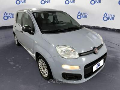 Fiat Panda 1.0 FireFly 70cv S&S Hybrid -** Grigio usata Ciampino
