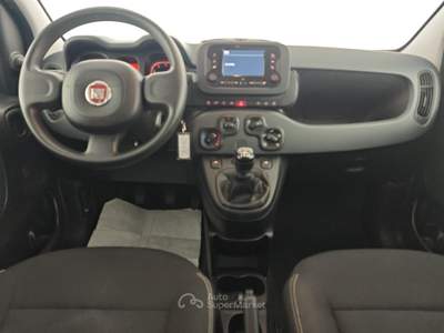Fiat Panda 1.0 FireFly 70cv S&S Hybrid -** Grigio usata Ciampino