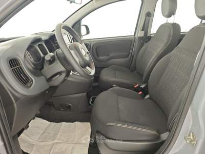 Fiat Panda 1.0 FireFly 70cv S&S Hybrid -** Grigio usata Ciampino