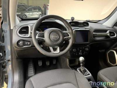 Jeep Renegade 1.6 Mjt 120 CV Longitude 2WD Grigio usata Faenza