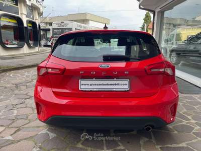 Ford Focus 1.5 ecoblue Business s&s 95cv UNICO PROPRIETARIO BELLISSIMA Rosso usata Cesano Maderno