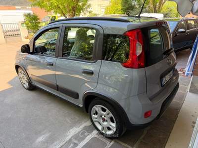 Fiat Panda Vendesi panda usata Bagnolo in Piano