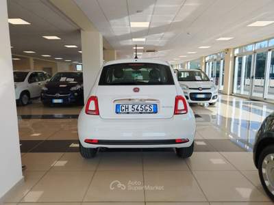 Fiat 500 500 1.0 Hybrid Cult Bianco usata MONTE URANO