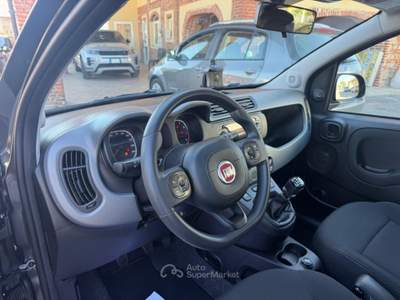 Fiat Panda City Cross Waze Grigio usata Mondovì