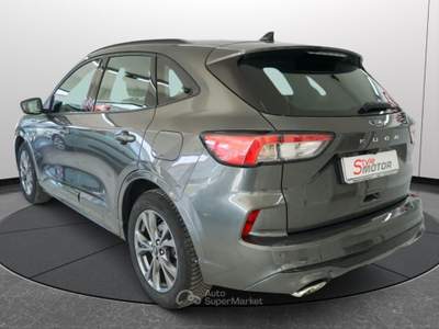 Ford Kuga 2.0 EcoBlue 120 CV aut. 2WD ST-Line Grigio usata Fano