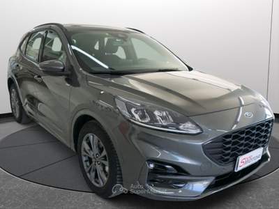 Ford Kuga 2.0 EcoBlue 120 CV aut. 2WD ST-Line Grigio usata Fano