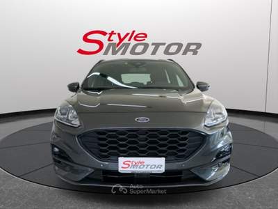 Ford Kuga 2.0 EcoBlue 120 CV aut. 2WD ST-Line Grigio usata Fano