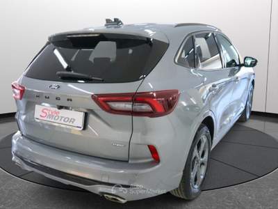Ford Kuga 2.5 Full Hybrid FHEV 180 CV CVT 2WD ST-Line Grigio usata Fano