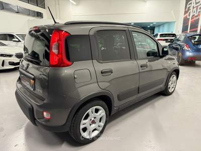 Fiat Panda Perfetta usata Cattolica
