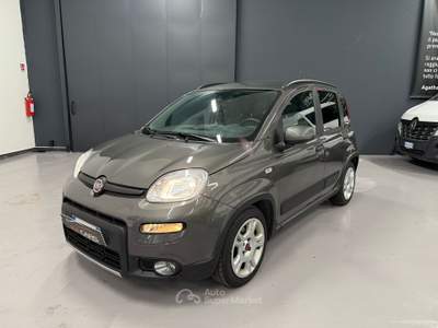 Fiat Panda Perfetta usata Cattolica