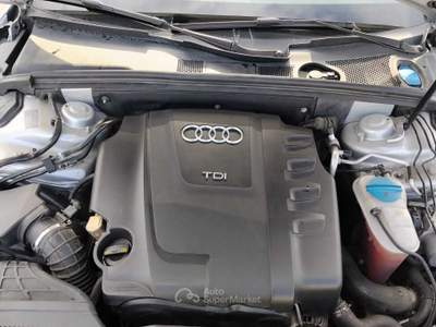 Audi A4 A4 Avant 2.0 TDI 120CV F.AP. Start Adv. (88 kw) Argento usata Sant'Anastasia