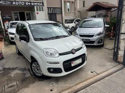 Fiat Panda Easy Bianco usata CURTI