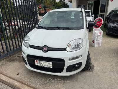 Fiat Panda Easy Bianco usata CURTI