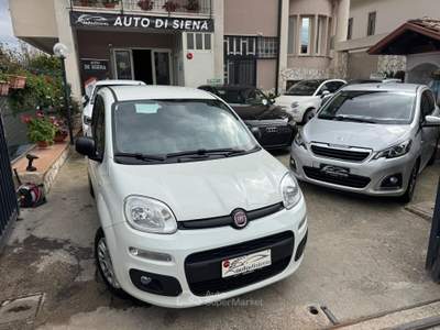 Fiat Panda Easy Bianco usata CURTI