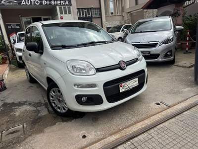 Fiat Panda Easy Bianco usata CURTI