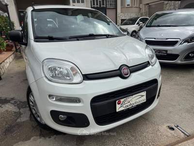 Fiat Panda Easy Bianco usata CURTI