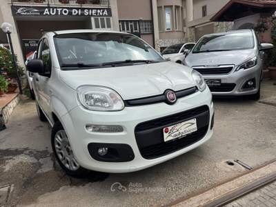 Fiat Panda Easy Bianco usata CURTI