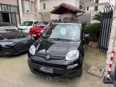 Fiat Panda Easy Nero usata CURTI