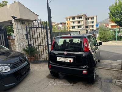 Fiat Panda Easy Nero usata CURTI