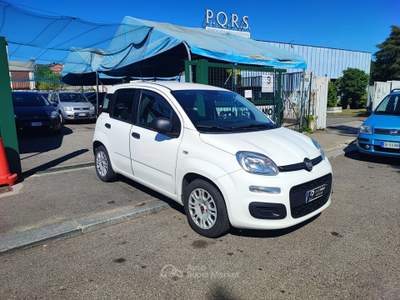 Fiat Panda FireFly S&S Hybrid Bianco usata Torino