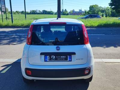 Fiat Panda FireFly S&S Hybrid Bianco usata Torino