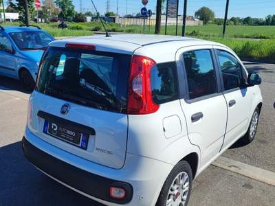 Fiat Panda FireFly S&S Hybrid Bianco usata Torino