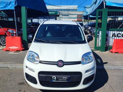 Fiat Panda FireFly S&S Hybrid Bianco usata Torino