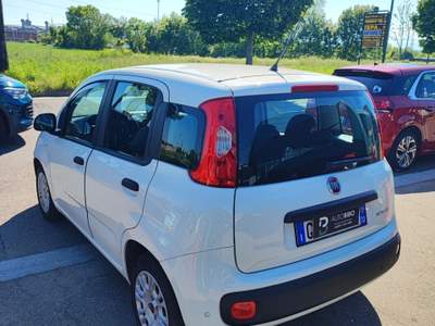 Fiat Panda FireFly S&S Hybrid Bianco usata Torino