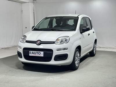 Fiat Pandina 1.0 FireFly Hybrid Bianco usata Montagna in Valtellina