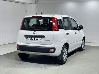 Fiat Pandina 1.0 FireFly Hybrid Bianco usata Montagna in Valtellina