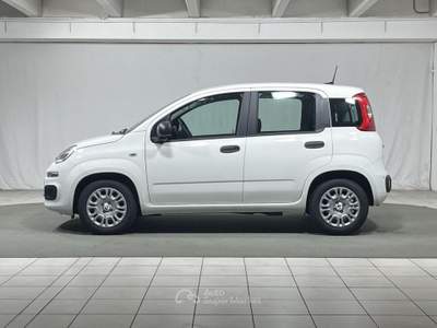 Fiat Pandina 1.0 FireFly Hybrid Bianco usata Montagna in Valtellina