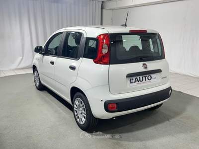 Fiat Pandina 1.0 FireFly Hybrid Bianco usata Montagna in Valtellina