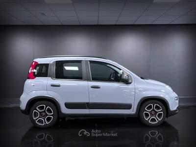 Fiat Panda 1.0 FireFly S&S Hybrid City Life Grigio usata Arsiè